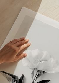 Peony BW-5