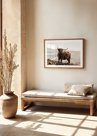 Photographic highland cow with long horns in golden sunlight-8