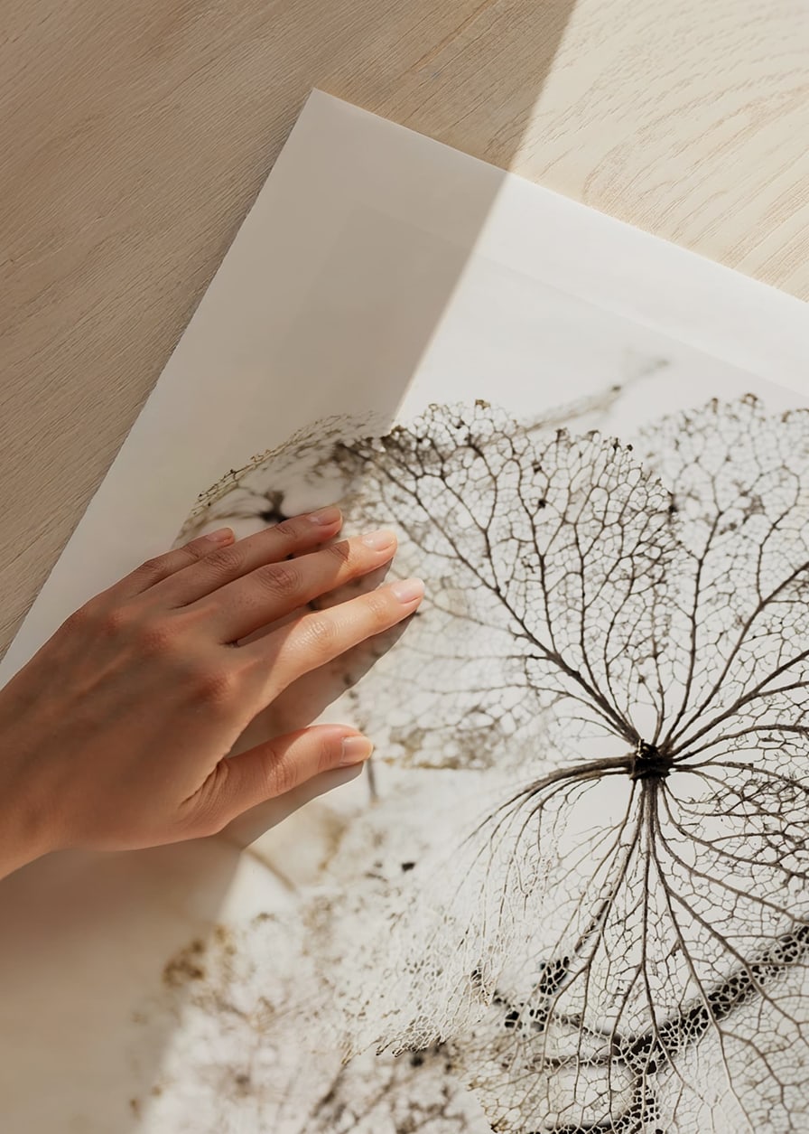 Close-up of thin dried leaves with visible veins against white background-12