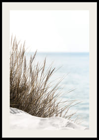 Högt strandgräs i närbild mot mjuk blå havsutsikt-2