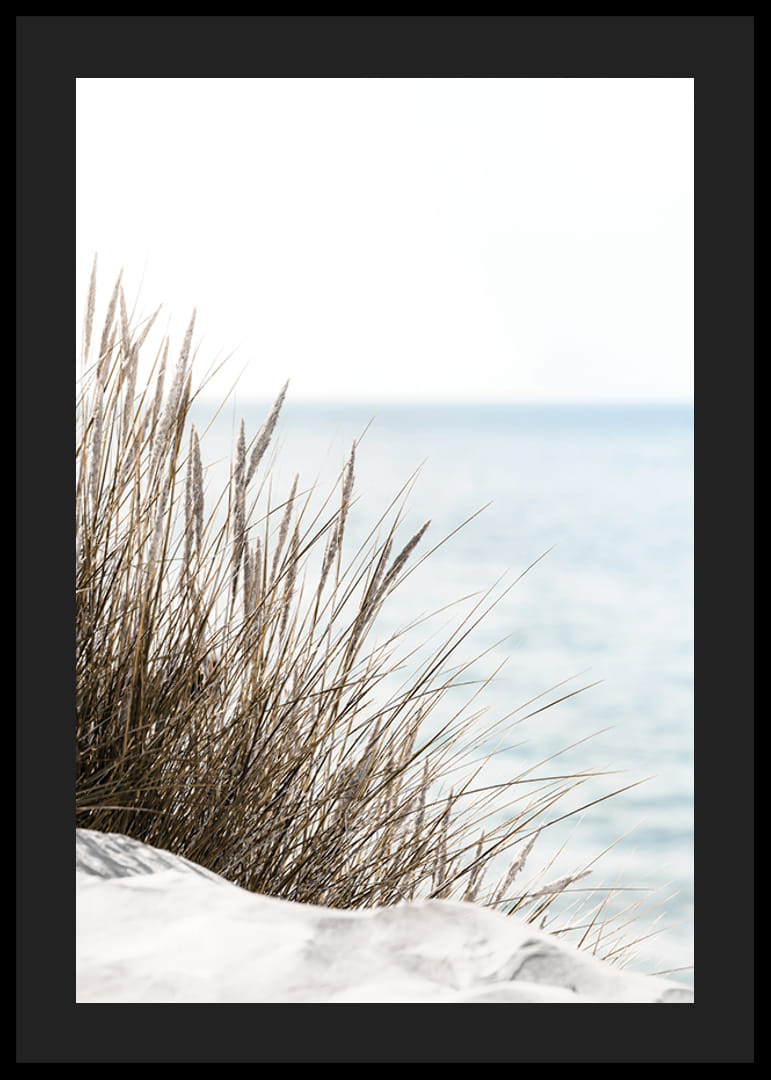 Högt strandgräs i närbild mot mjuk blå havsutsikt-12