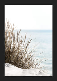 Högt strandgräs i närbild mot mjuk blå havsutsikt-5