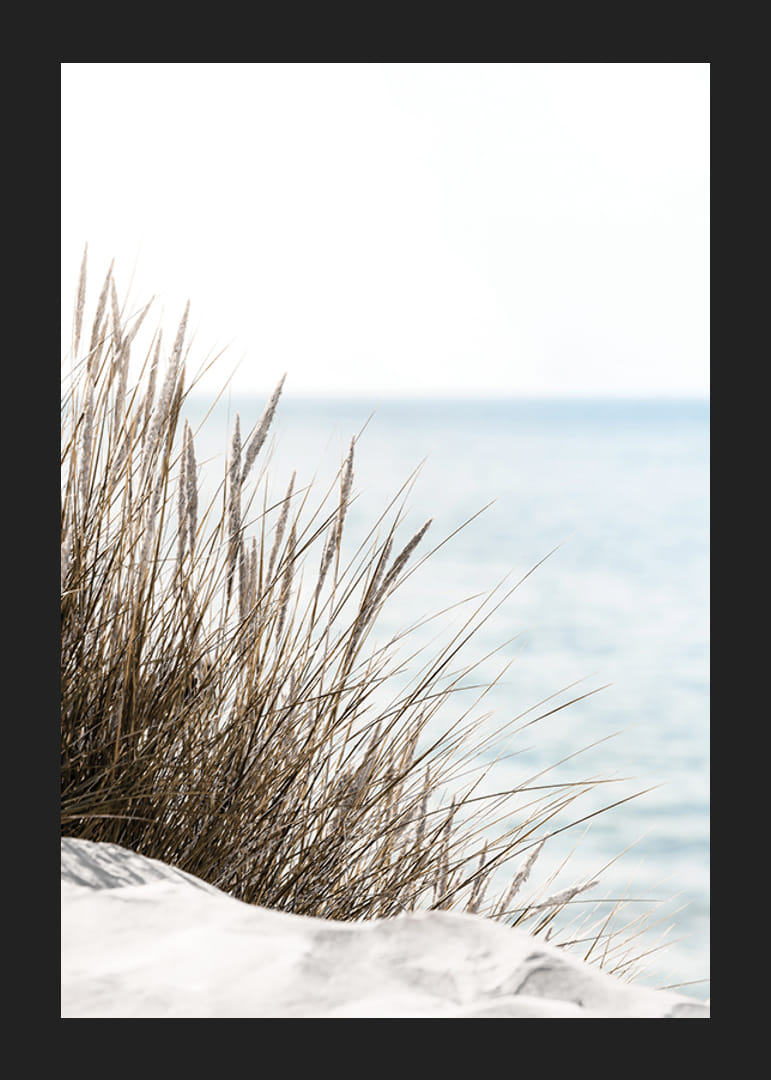 Högt strandgräs i närbild mot mjuk blå havsutsikt-12
