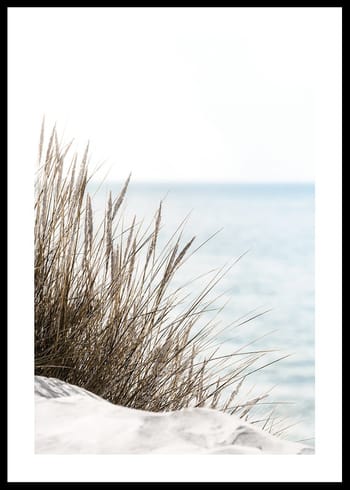 Poster Grass At Beach