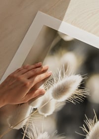Close-up of bright brush grass in backlight against blurred background-9