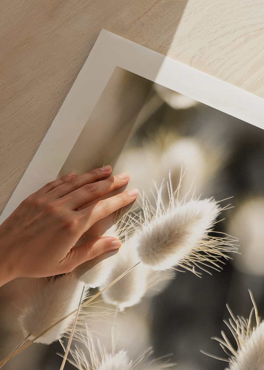 Close-up of bright brush grass in backlight against blurred background-12