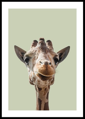 Poster Smiling Giraffe