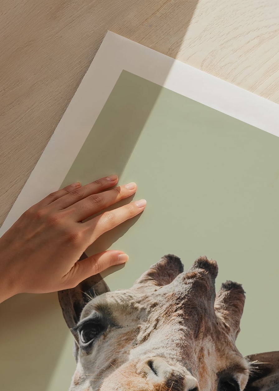 Närbild av leende giraff mot ljusgrön bakgrund-12