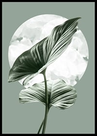 Illustration of green homalomena leaves against light circle shape-6