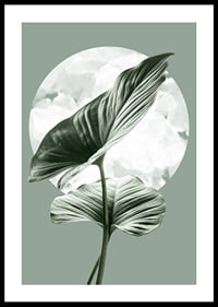 Illustration of green homalomena leaves against light circle shape-0