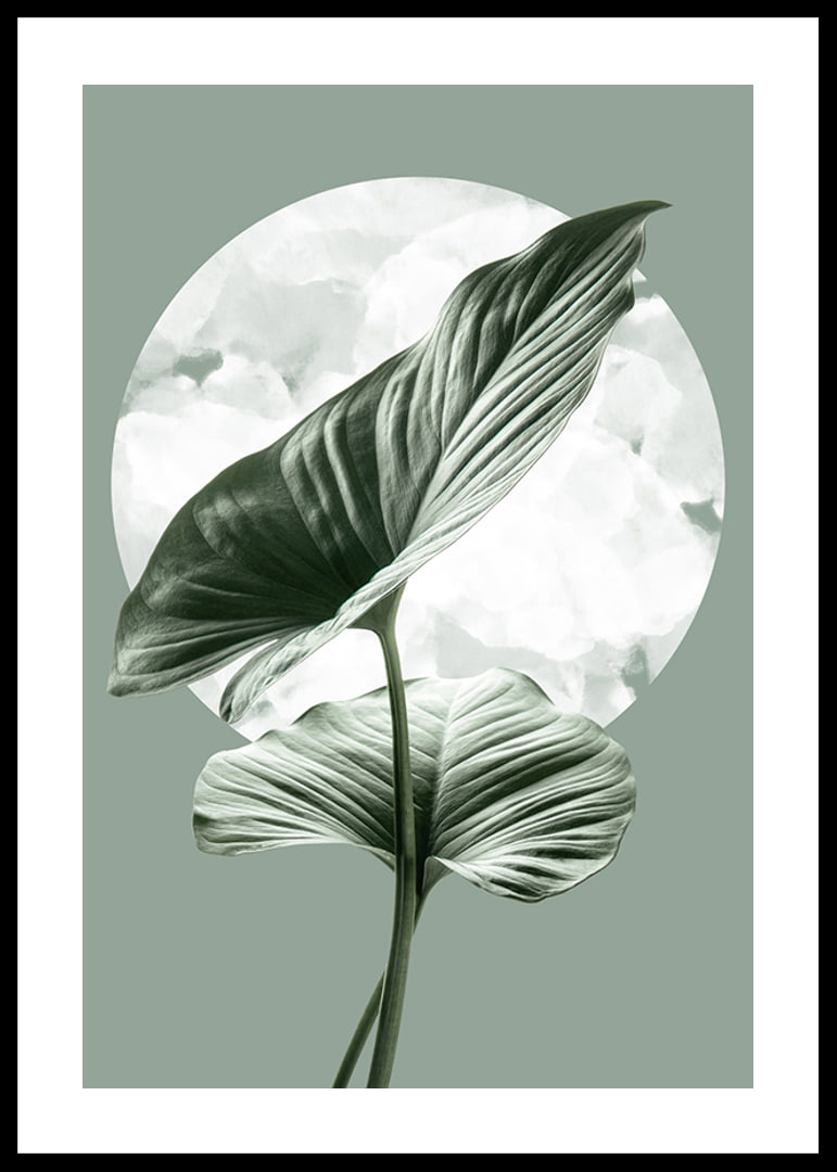 Illustration of green homalomena leaves against light circle shape-12