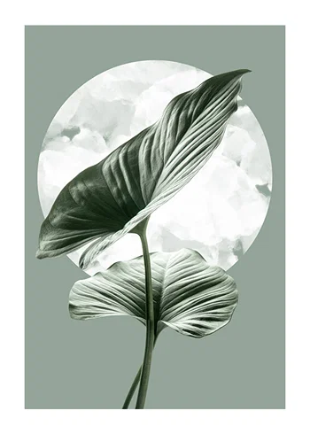 Poster Homalomena