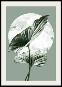 Illustration of green homalomena leaves against light circle shape-2