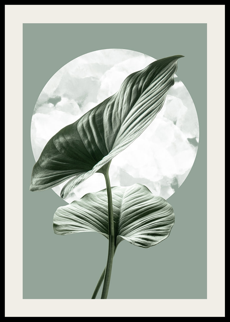 Illustration of green homalomena leaves against light circle shape-12