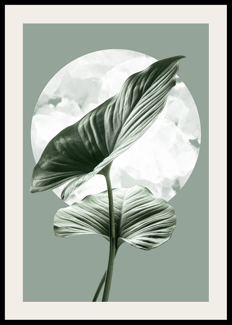 Illustration av gröna homalomenablad mot ljus cirkelform-12