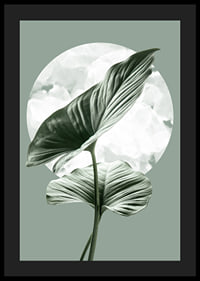 Illustration of green homalomena leaves against light circle shape-4