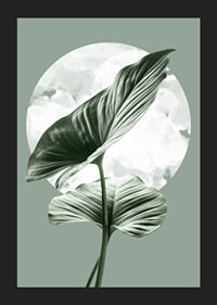 Illustration of green homalomena leaves against light circle shape-5