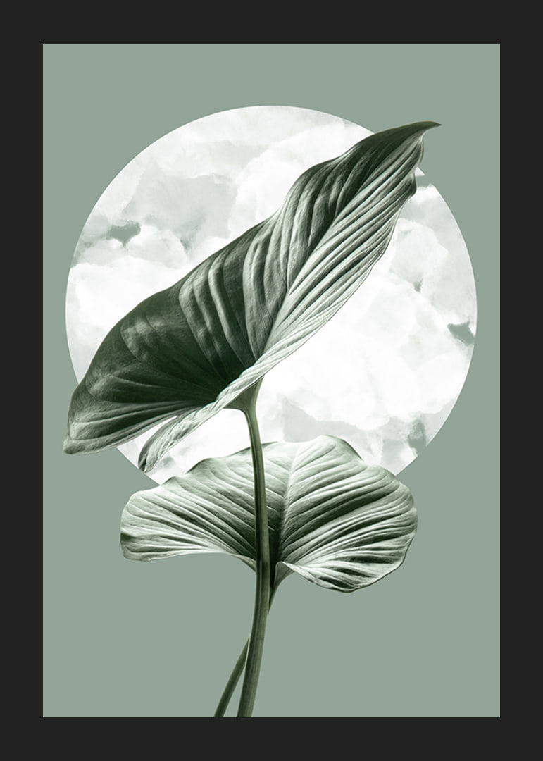 Illustration of green homalomena leaves against light circle shape-12
