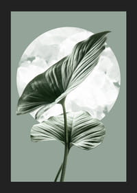 Illustration av gröna homalomenablad mot ljus cirkelform-5