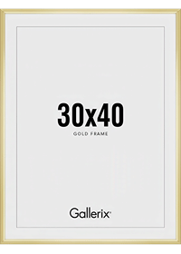 Golden Picture Frame 30x40 cm-0