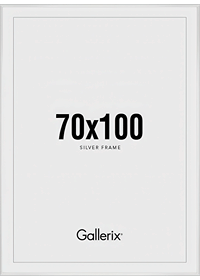 Cadre Argenté 70x100 cm-0