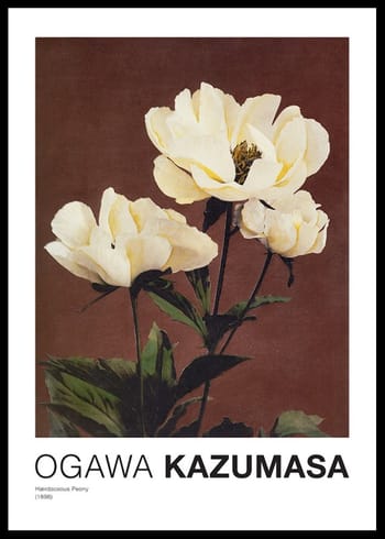 Poster Hærdaceous Peony By Kazumasa Ogawa