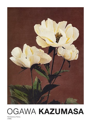 Poster Hærdaceous Peony By Kazumasa Ogawa