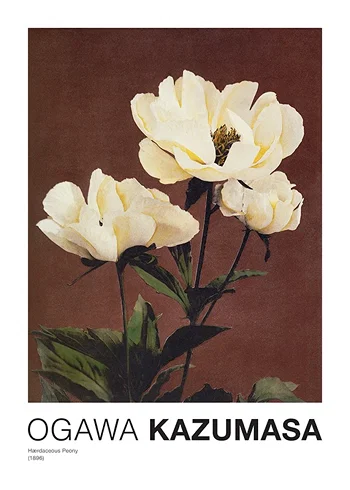 Poster Hærdaceous Peony By Kazumasa Ogawa