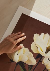 Hærdaceous Peony By Kazumasa Ogawa-3