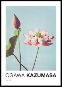 Lotus Flowers By Ogawa Kazumasa-0
