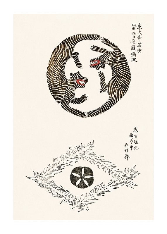 Tigers By Taguchi Tomoki-12