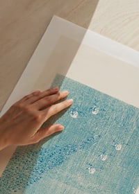 Von japanischen Holzschnitten inspirierte Illustration von weißen Vögeln auf blauem Feld-9