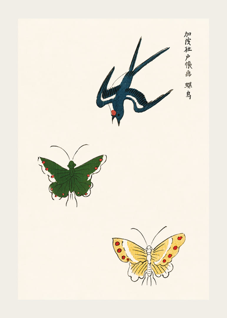 Geïllustreerde zwaluw en twee vlinders tegen een lichte achtergrond-12