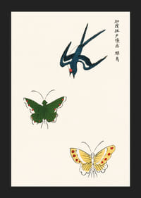 Geïllustreerde zwaluw en twee vlinders tegen een lichte achtergrond-5