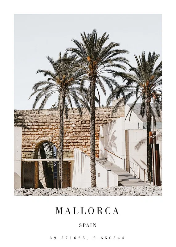 Photograph of palm trees and stone wall with arches in sunlight-12