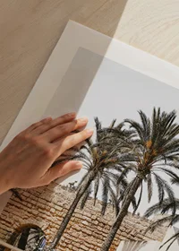 Photograph of palm trees and stone wall with arches in sunlight-3