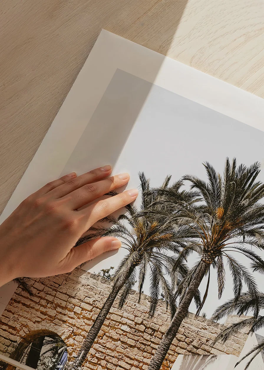 Photograph of palm trees and stone wall with arches in sunlight-12