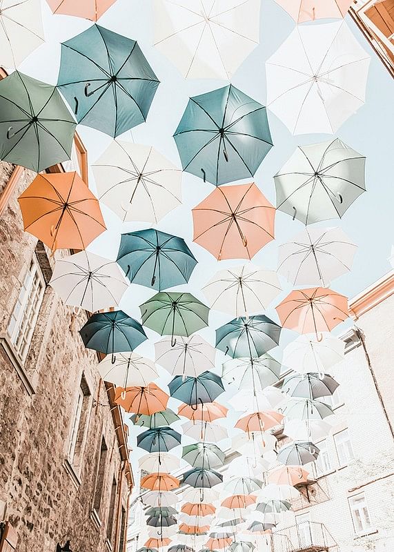 Umbrellas-12
