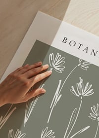 Illustrated white flowers on a muted gray-green background-3