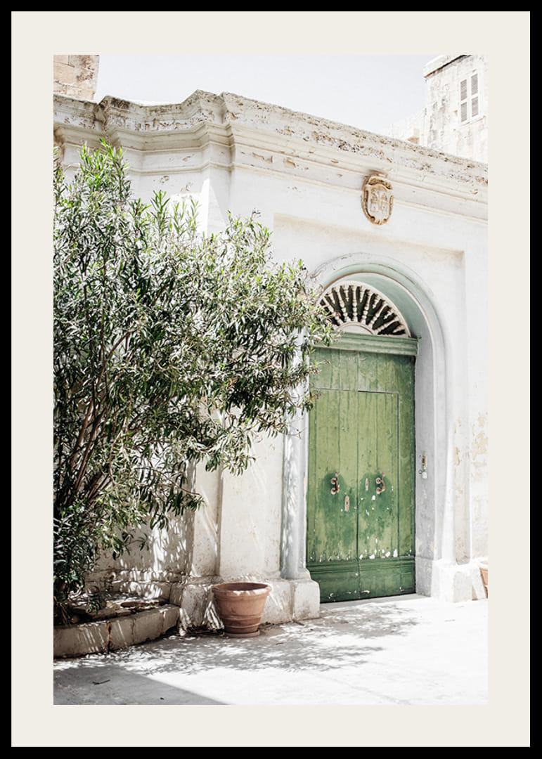 Photograph of green door in stone building among greenery, Malta-12