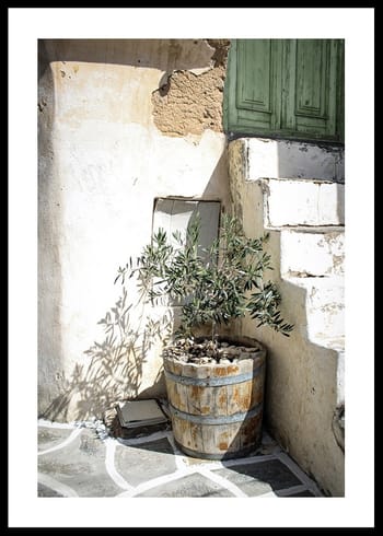 Poster Olive Tree Entrance