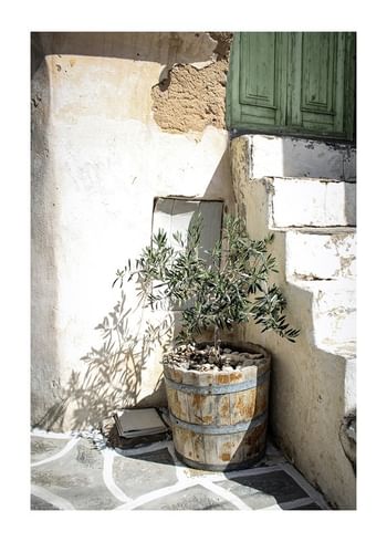 Poster Olive Tree Entrance