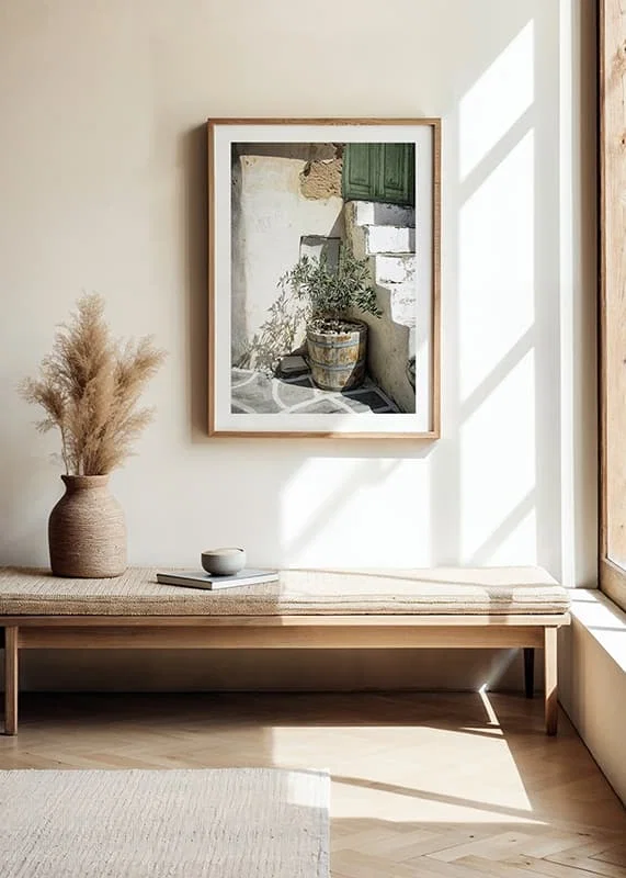 Photograph of olive trees in wooden barrels against sun-bleached facade-12