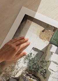 Fotografia di ulivi in ​​botti di legno contro una facciata sbiancata dal sole-9