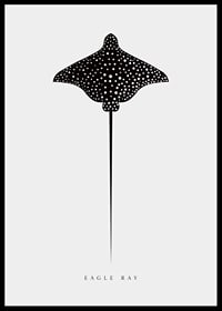 Graphic illustration of black spotted eagle ray on light gray background-6
