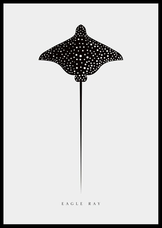 Graphic illustration of black spotted eagle ray on light gray background-12