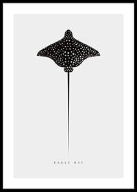 Graphic illustration of black spotted eagle ray on light gray background-0