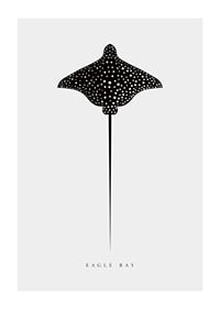 Graphic illustration of black spotted eagle ray on light gray background-1