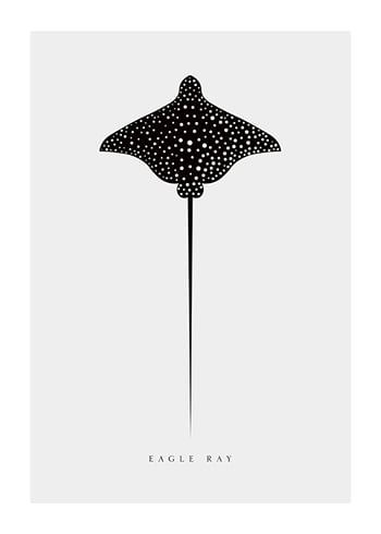 Poster Eagle Ray