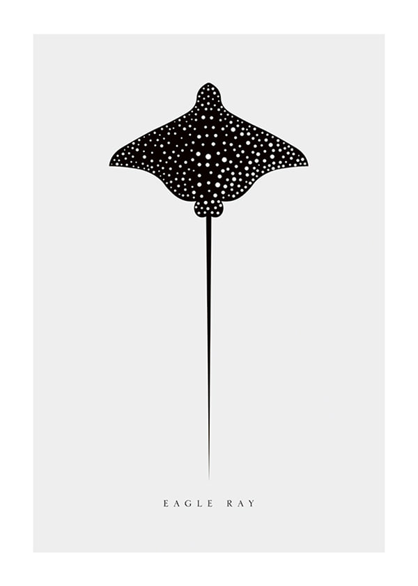 Póster Eagle Ray
